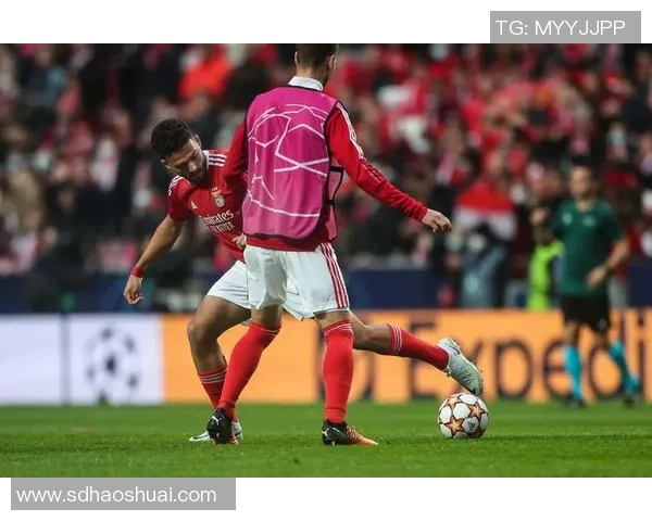 本菲卡战胜利物浦友谊赛精彩回顾全场热情瞬间引发狂欢